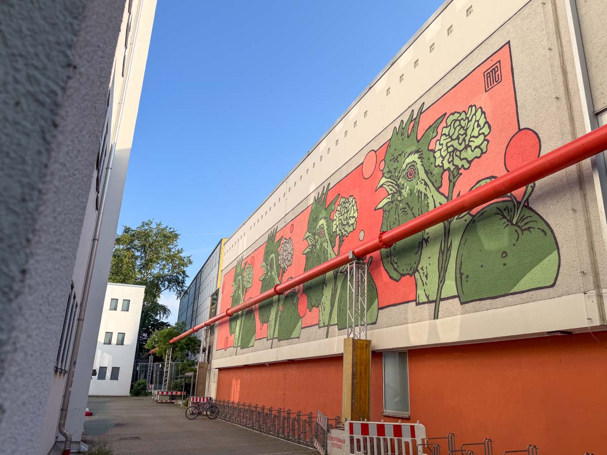 *transit art Wand Turnhalle Johann-Rieder-Realschule
