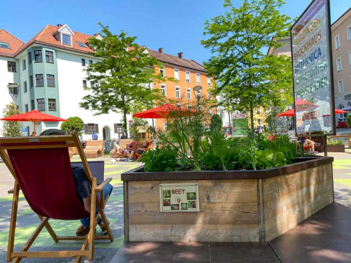 Urbanes Gardening: Mehrere Hochbeete mitten am Salzstadel