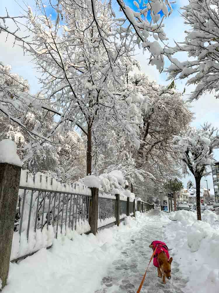 rosenheim_winter©stadttipps_rosenheim_005