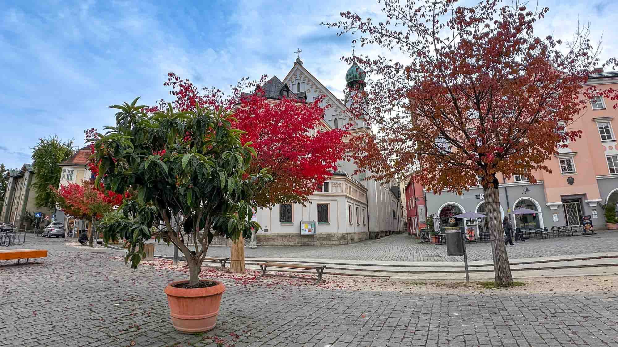 Ludwigsplatz Rosenheim im Herbst