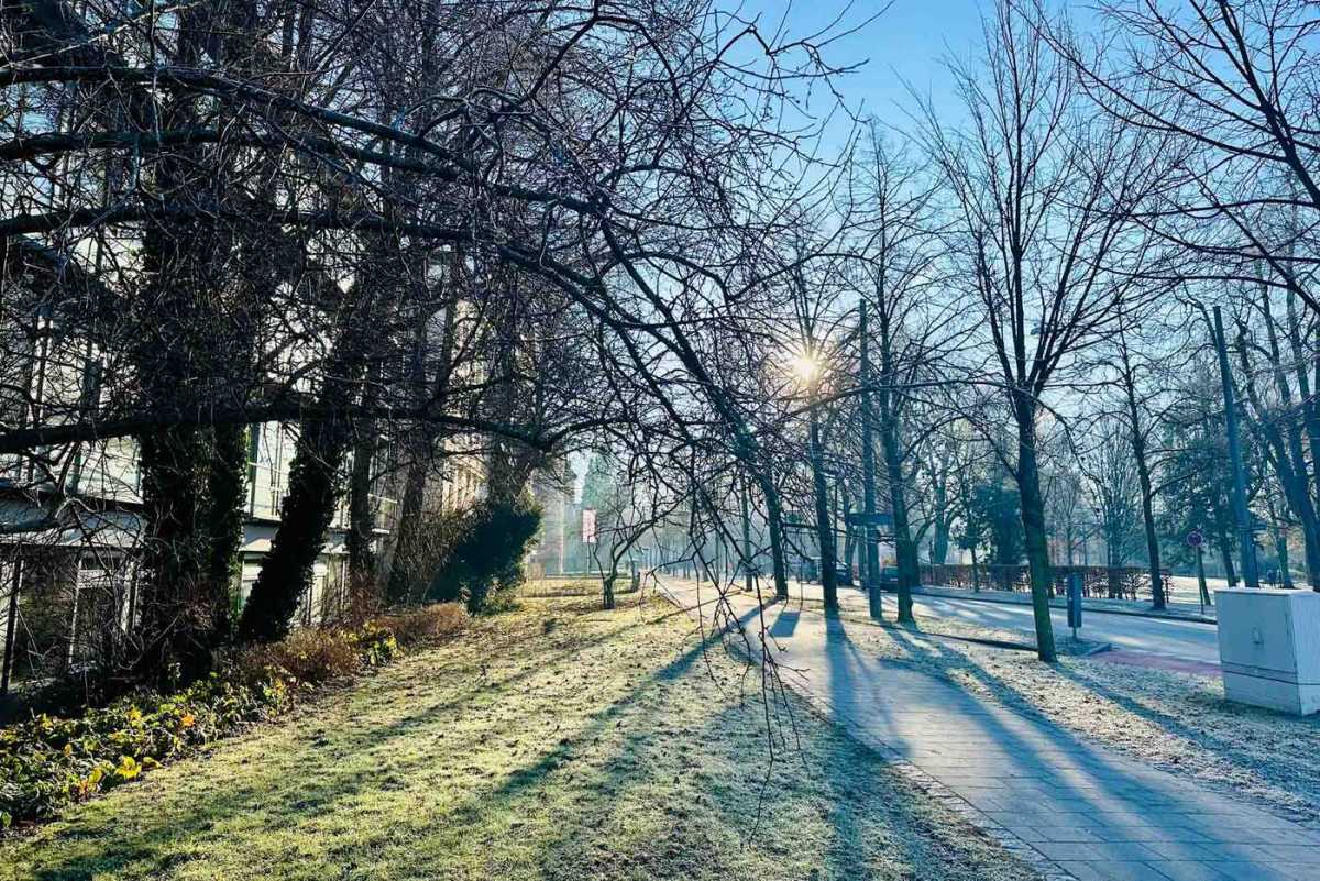 Frostig, ruhig, schön - die Prinzregentenstraße Rosenheim