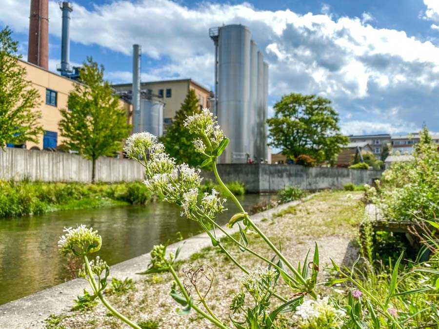 muehlbachbogen_rosenheim_08