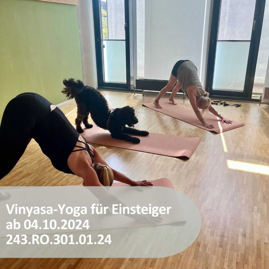 VHS Vinyasa-Yoga für Einsteiger mit leichten Vorkenntnissen