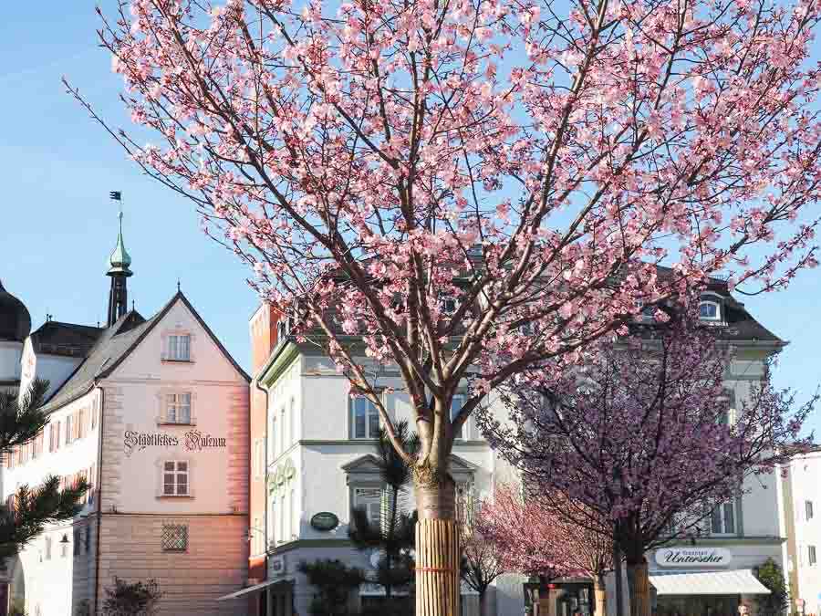 rosenheim_fruehling_020