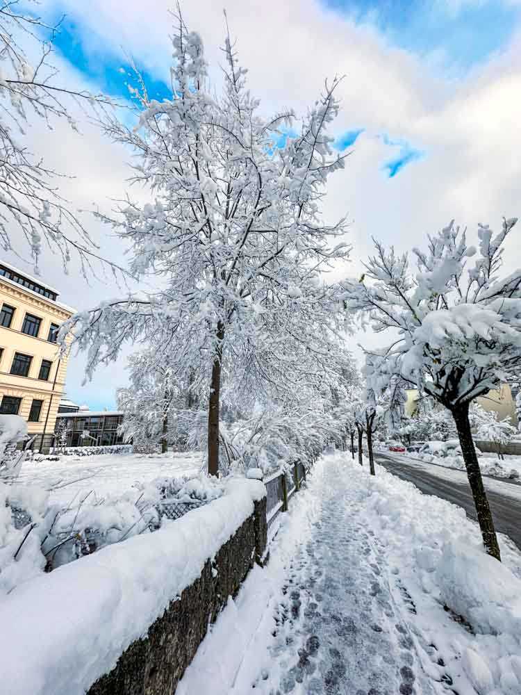 rosenheim_winter©stadttipps_rosenheim_003