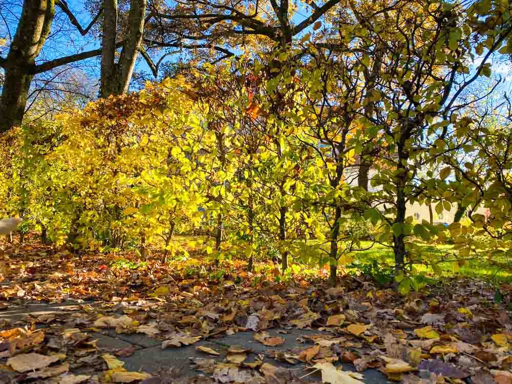 herbst_stadttipps_rosenheim_001