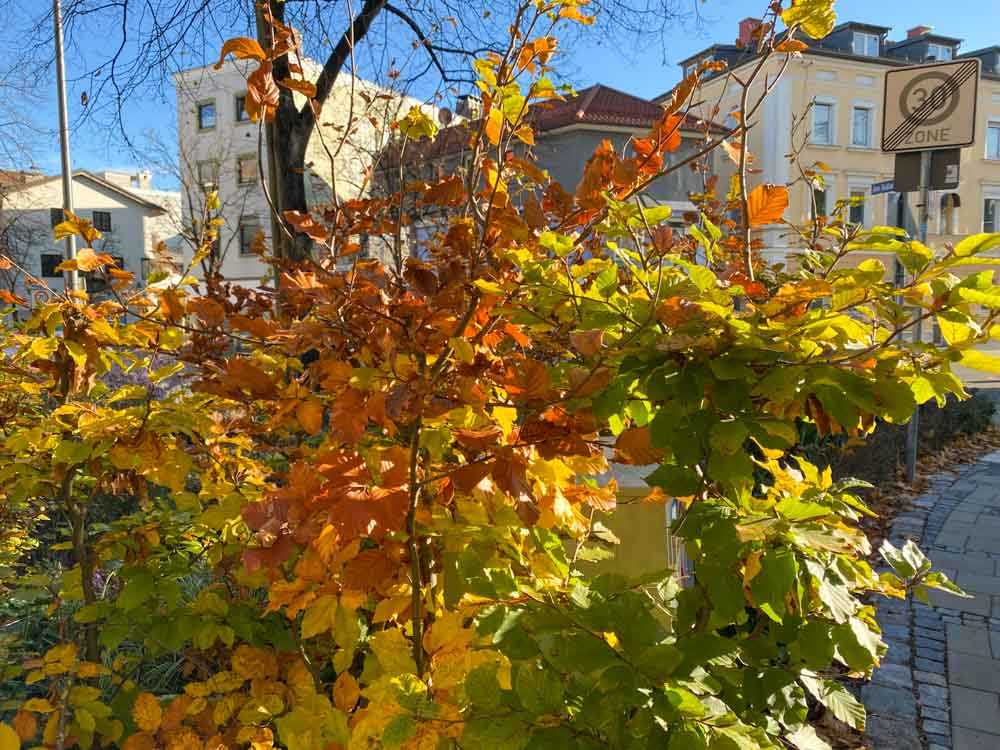 herbst_stadttipps_rosenheim_006