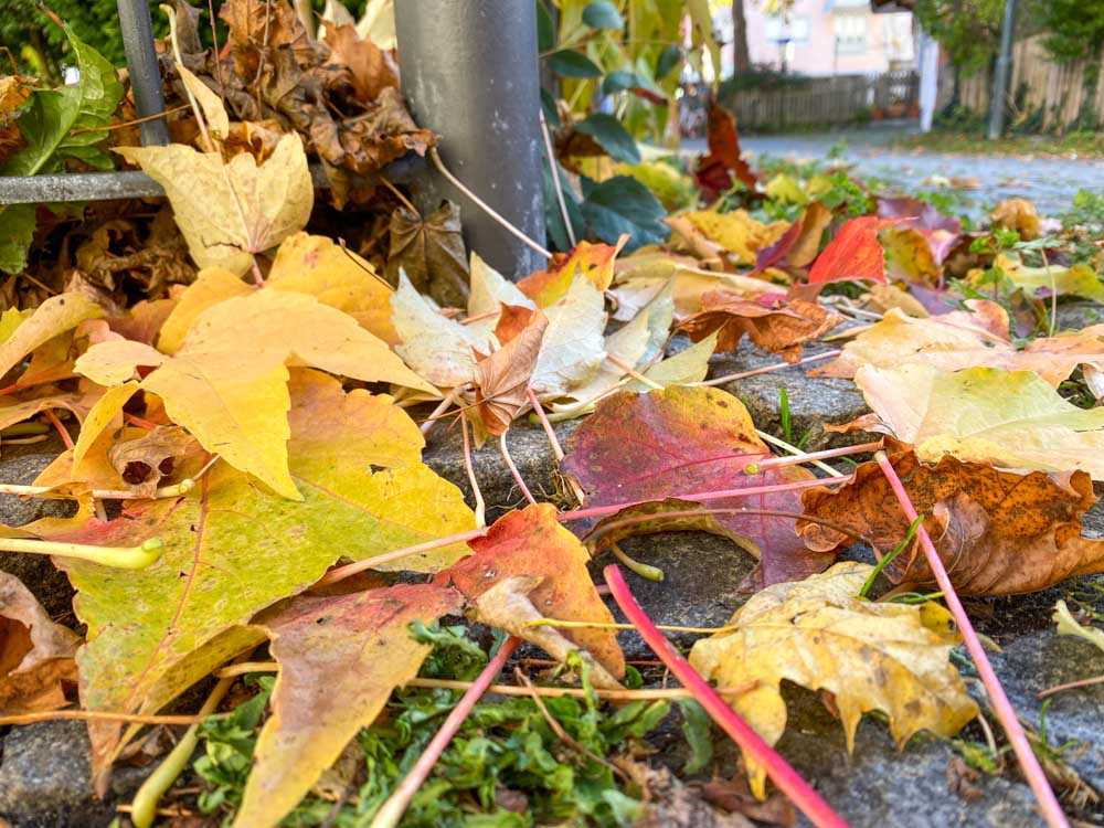 herbst_stadttipps_rosenheim_009