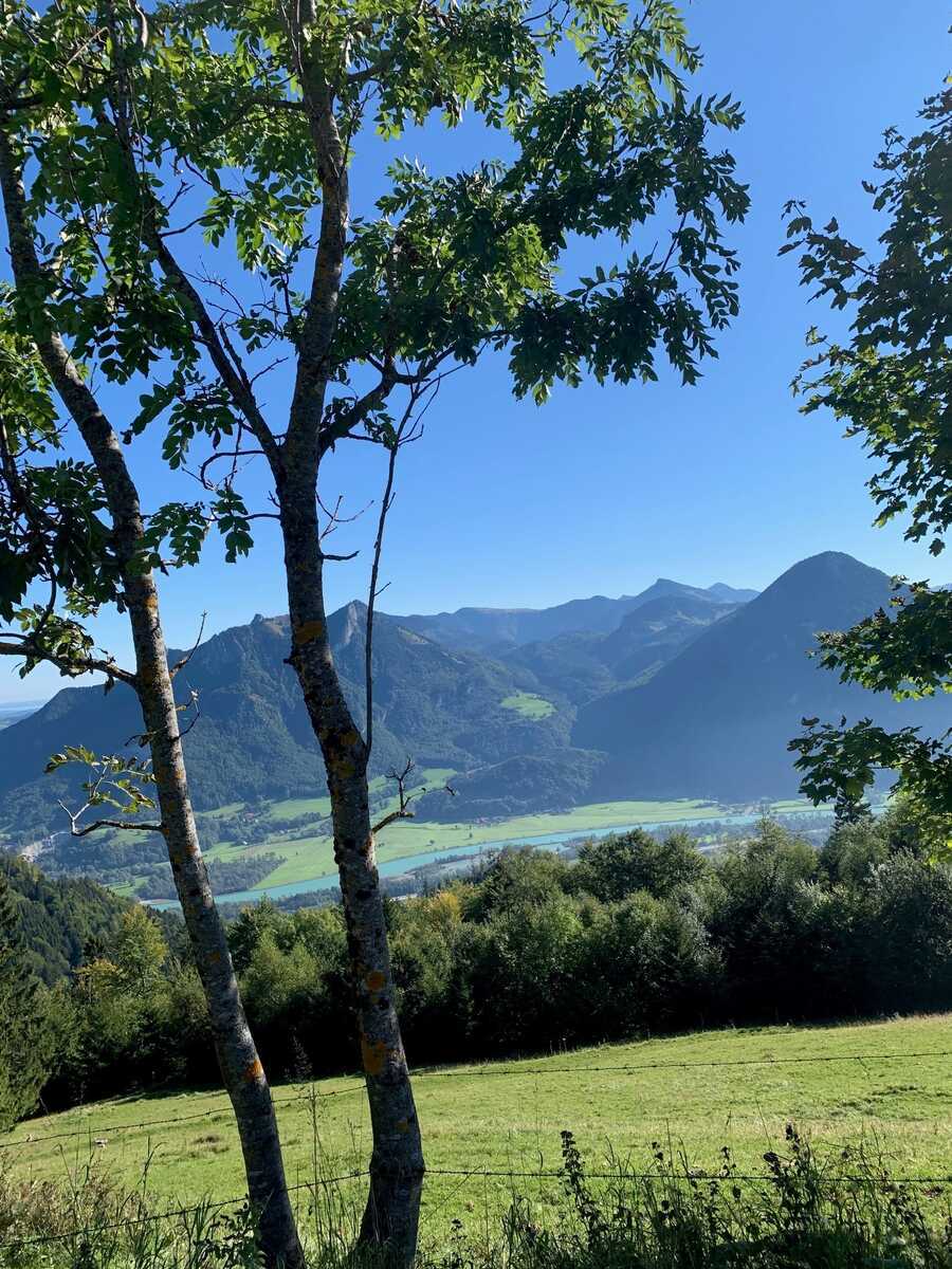 Kräuterwanderung in den Bayrisch-Tiroler Bergen von der VHS Rosenheim