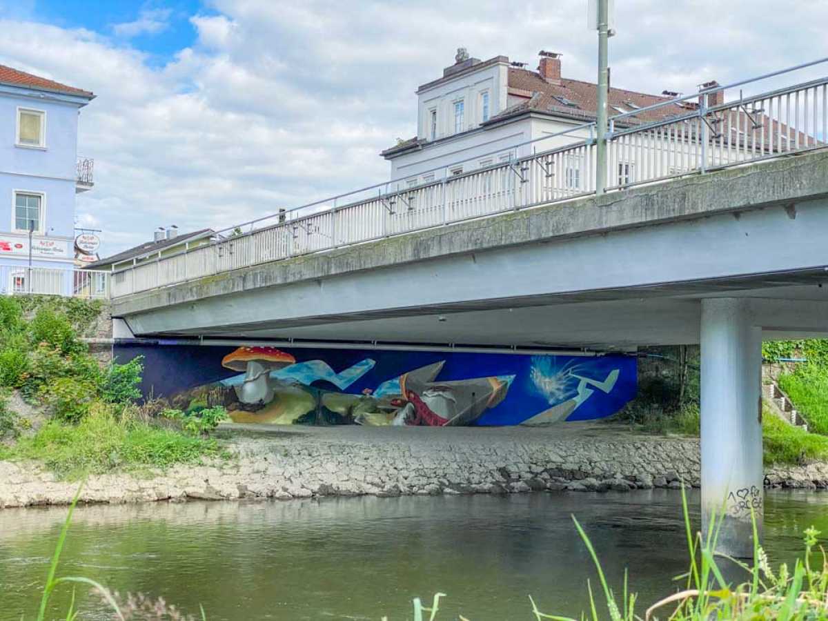 Transit Art Rosenheim - Wand Mushrooms