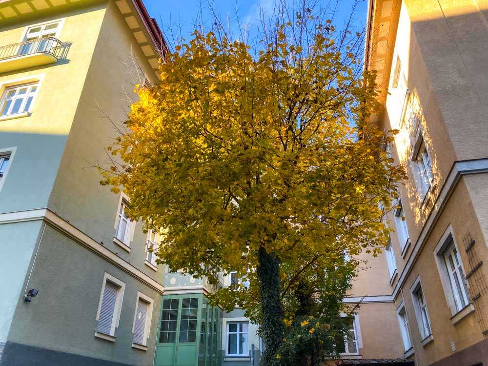 herbst_stadttipps_rosenheim_027