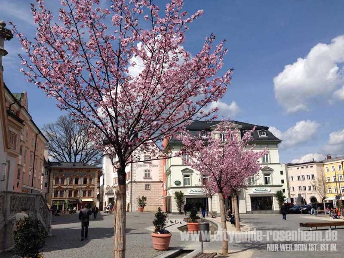 Die Stadt Rosenheim in Oberbayern